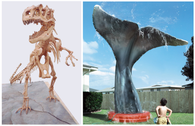 robitussin toshiba ads